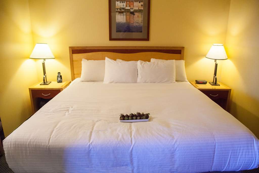 Medicine Hat Lodge, Trademark Collection By Wyndham Szoba fotó